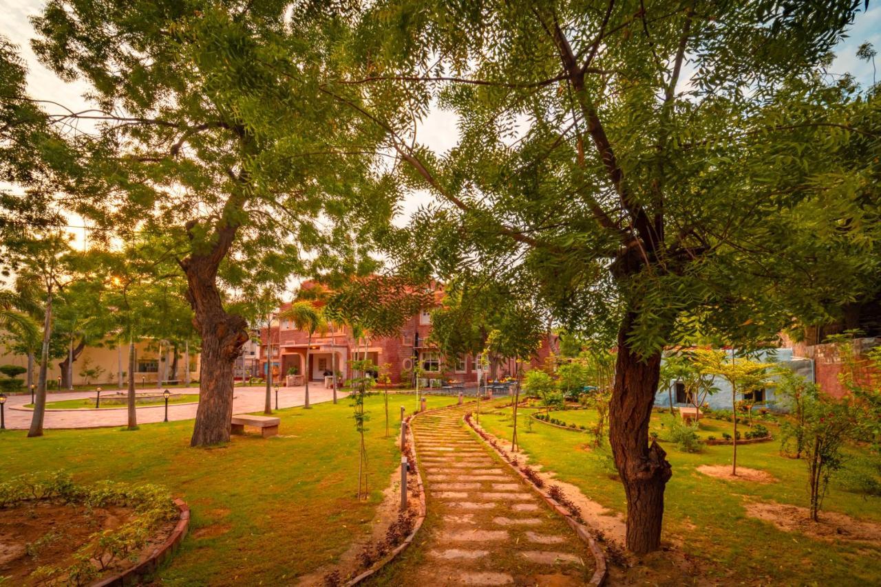 Tree Of Life Bhadrajun House, Jodhpur Jodhpur (Rajasthan) Exterior foto